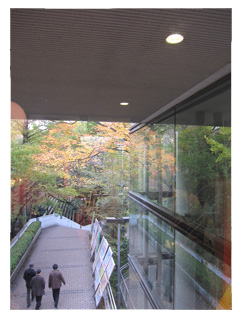 早稲田大学ガーデンハウスからの紅葉