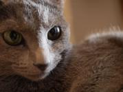 nika100425.jpg