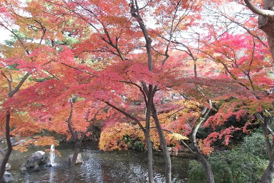 紅葉の丸山公園池