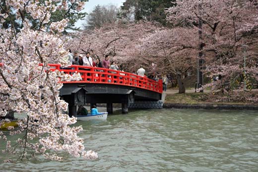 春陽橋と桜