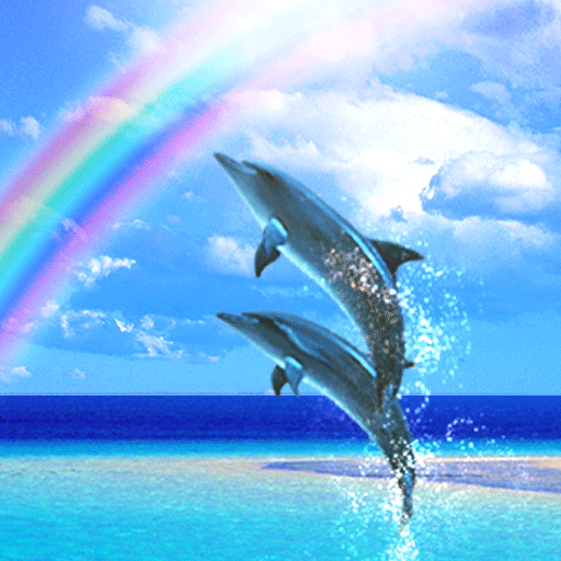 Dolphin Rainbow Free 無料のカスタマイズアプリandroid
