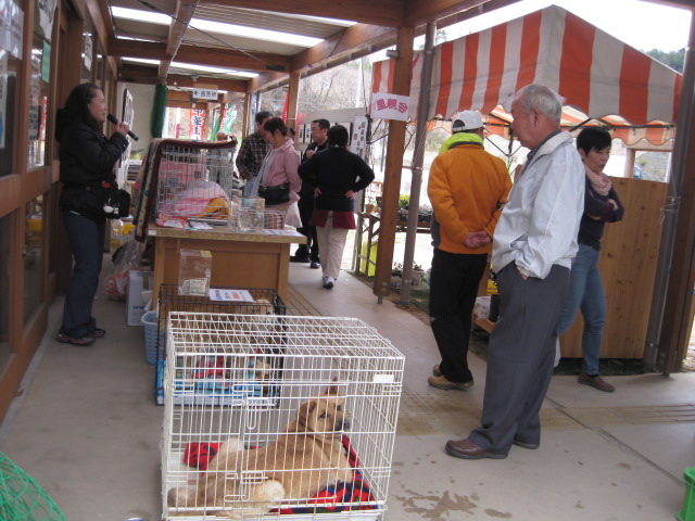 TNR Japan Animal Welfare Hospital Donation event in Fukushima