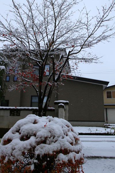 湯沢市　初雪　