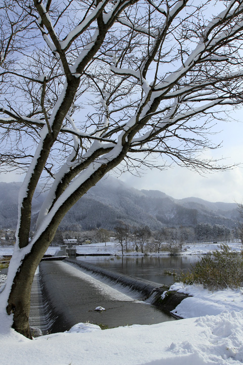 秋田県湯沢市　下川原の初雪