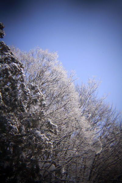 雪の風景