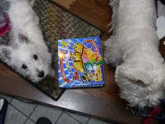 2011sanpoyouhikarimono2.jpg