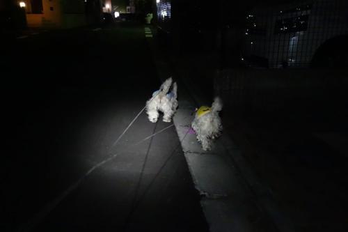 gentosledheadlight2.jpg