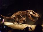 恐竜博2011