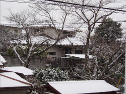 雪の朝2010.01.13