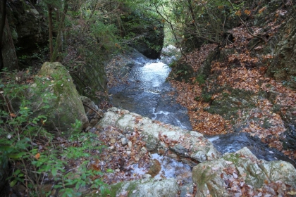 IMG_1573.jpg