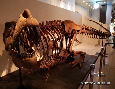 国立科学博物館にタルボサウルス出現