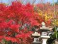 西江寺の紅葉
