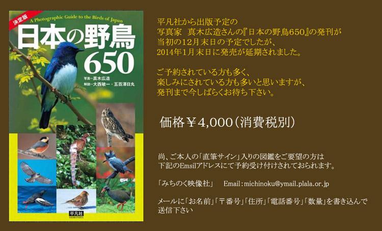 日本の野鳥650Part2_convert_20131219184651