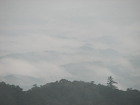 霧島の雲海