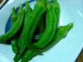 s-DSCN9506.jpg
