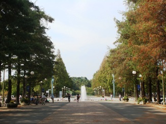 Tsurumi Ryokuchi Fountain