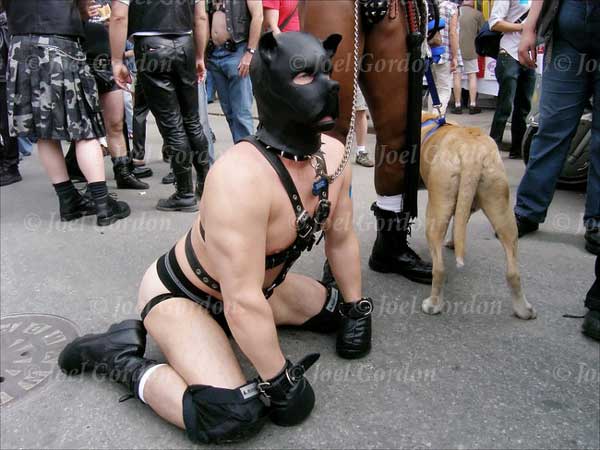 Dog_Slave.jpg