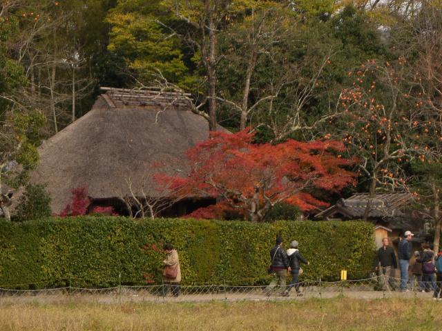 arashi9.jpg