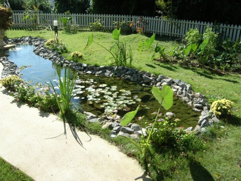 池のある庭
