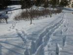 雪が積もったグリーンピア岩沼