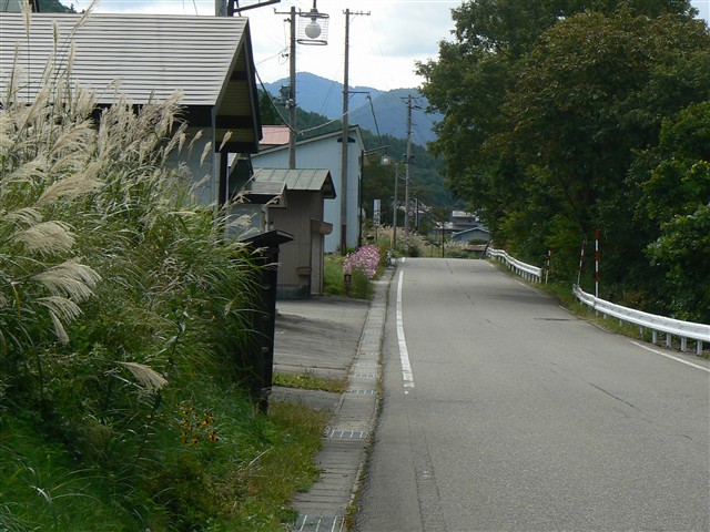 松戸原への道１