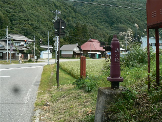 松戸原への道５