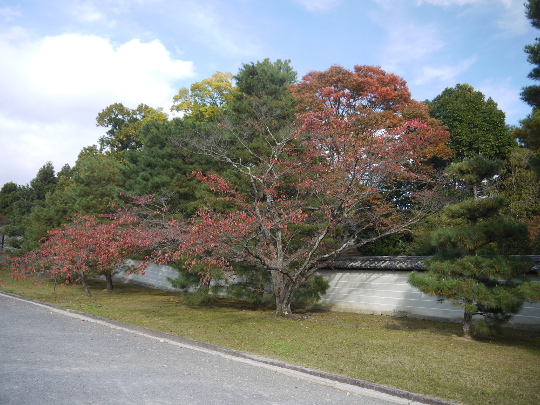 20121110仁和寺