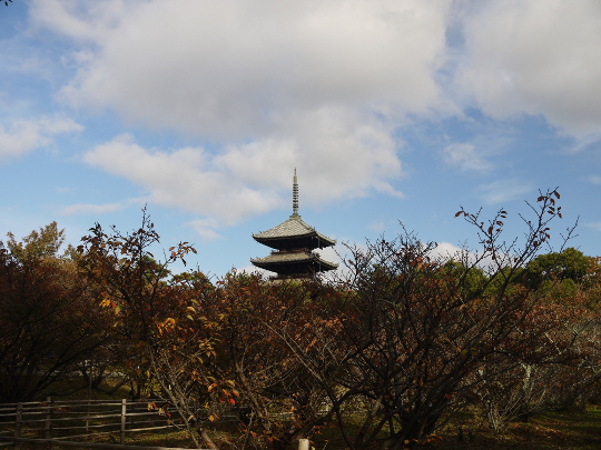 20121110仁和寺
