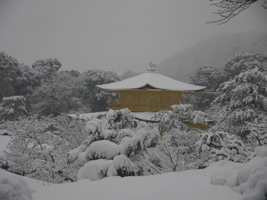 20101231金閣寺