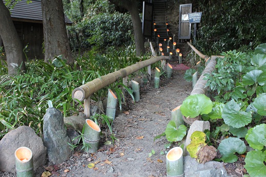 裏山への道の竹灯篭