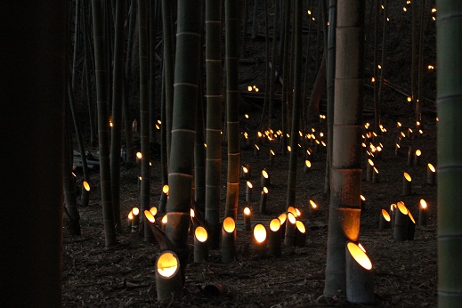 多数の竹灯篭１