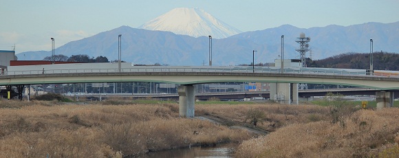 鶴見川土手からの富士山