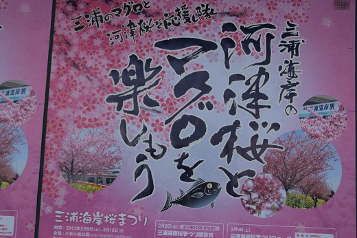 「三浦海岸桜まつり」ポスター
