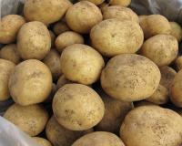 potatoes001.jpg