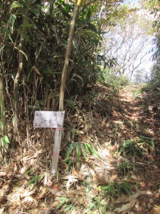 分岐18
