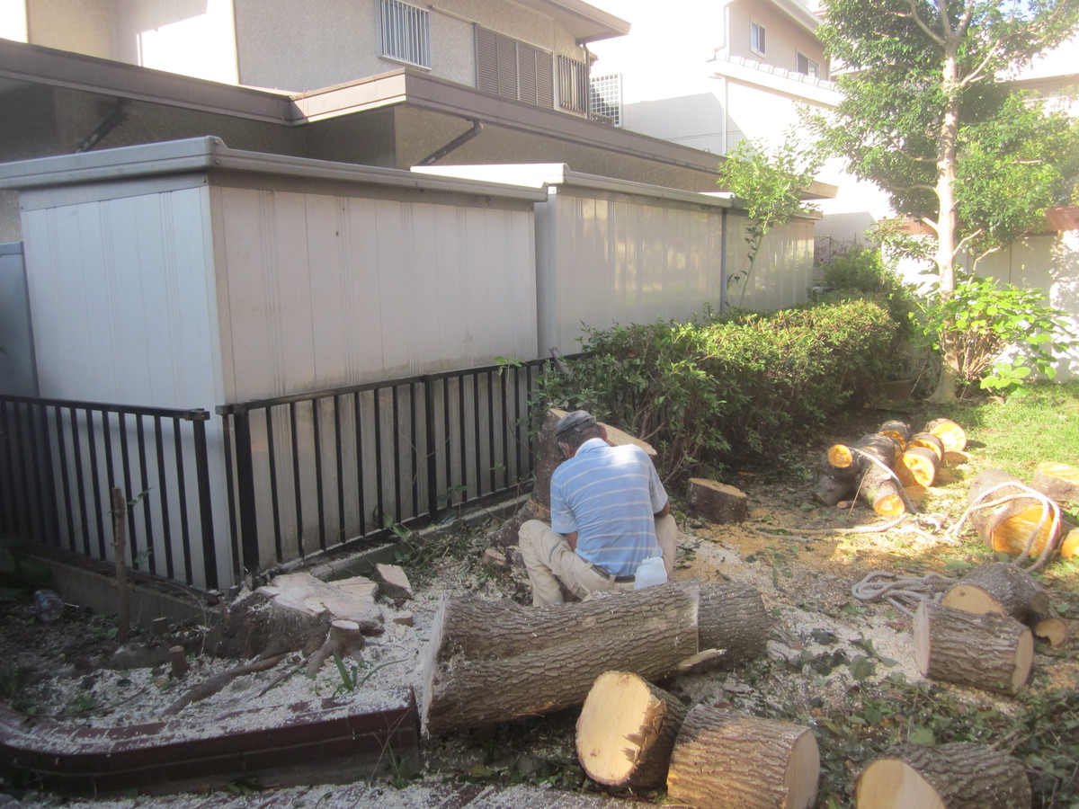 名古屋市　植木伐採　撤去