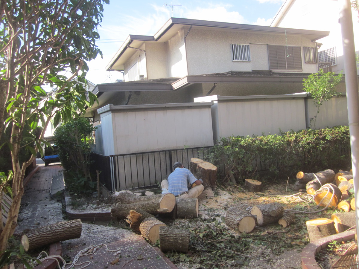 名古屋市　植木伐採　撤去