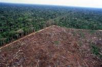 アマゾンの森林破壊