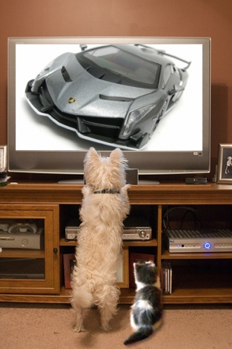 KYOSHO_Lamborghini_VENENO_pets_watch_tv_1dsgrhihw.jpg