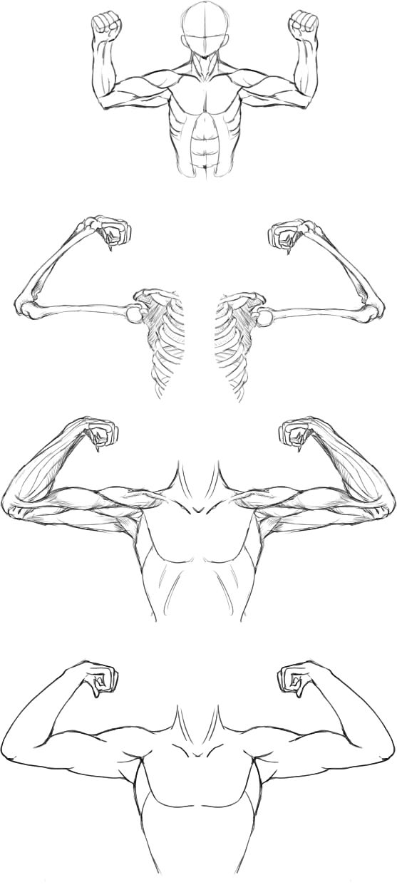 腕の筋肉説明29