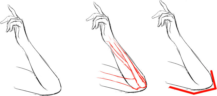肘の描き方10