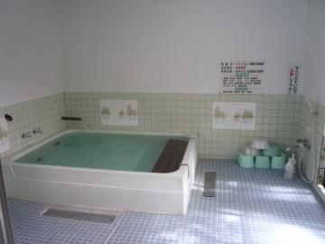 20120226_和歌山県田辺市_奥熊野温泉 女神の湯　浴槽rs