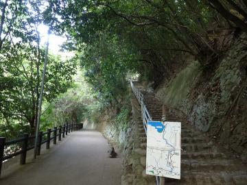 20120607_神戸市中央区_布引の滝 階段02rs