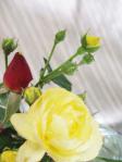 2012_11210029.jpg