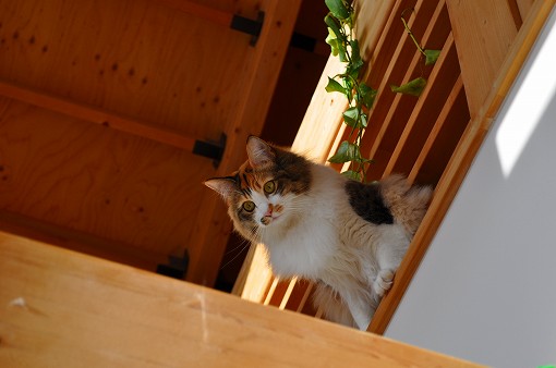 DSC_5653.jpg