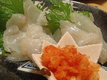 Rerekoの隠れ家 へなちょこ釣行記 釣魚料理 ショウサイフグの天ぷら Rerekoの隠れ家 へなちょこ釣行記 釣魚料理 ショウサイフグの天ぷら