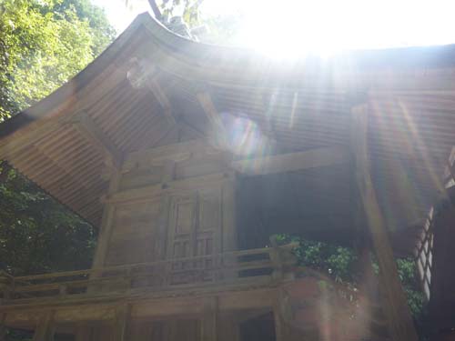 桜谷神社１３