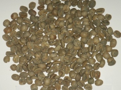 ブラジル　ショコラ　生豆