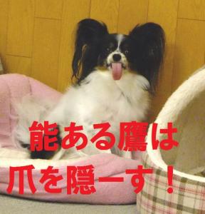 040kmif_20111107105508.jpg