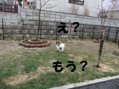 DSCF1021segf.jpg